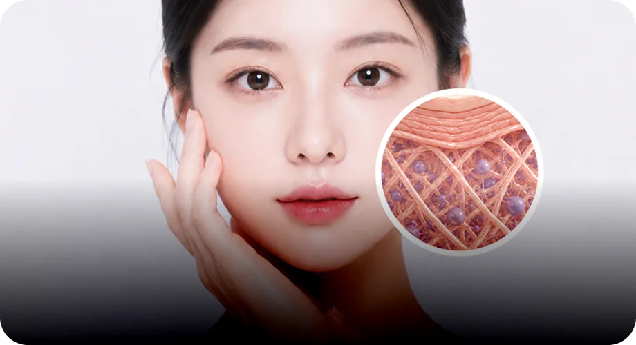 경과·유지 관리